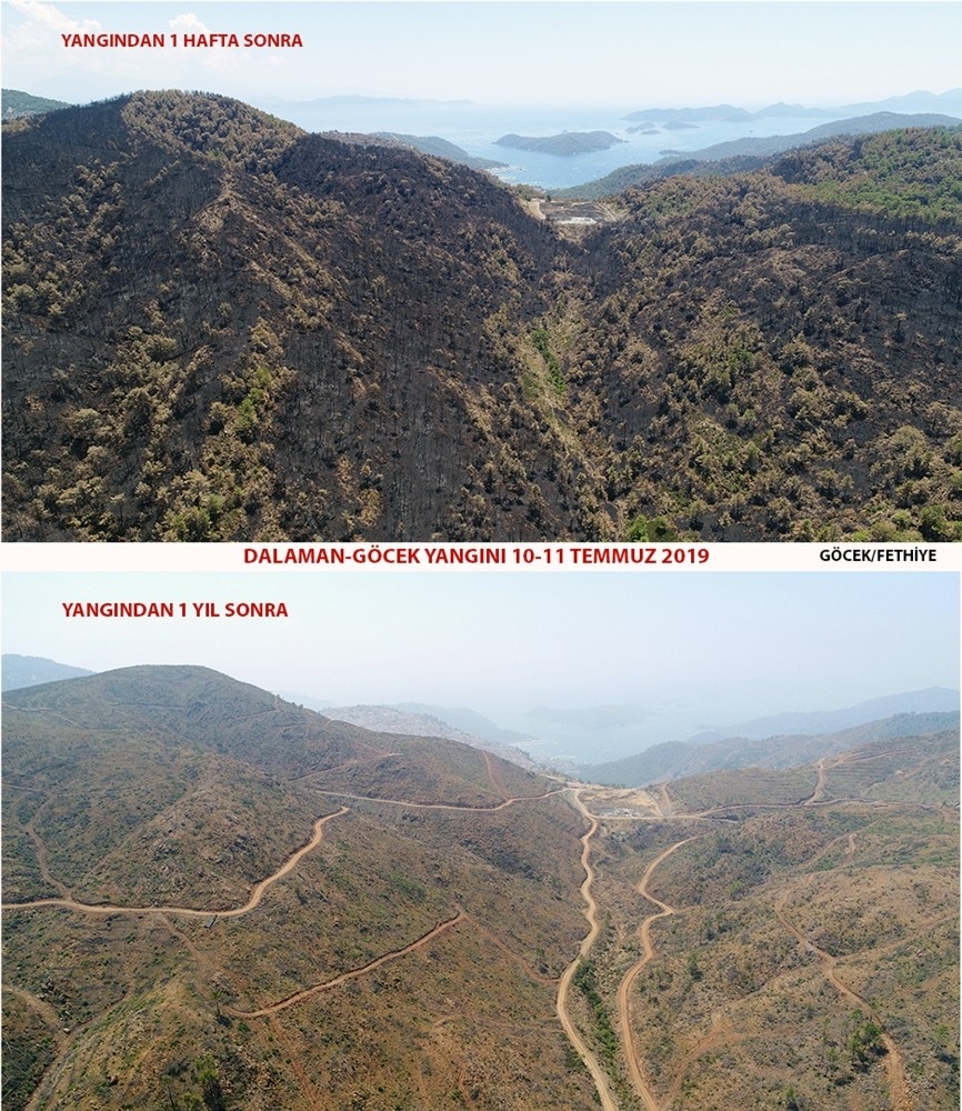 Dalaman ve Göcek tekrar yeşeriyor