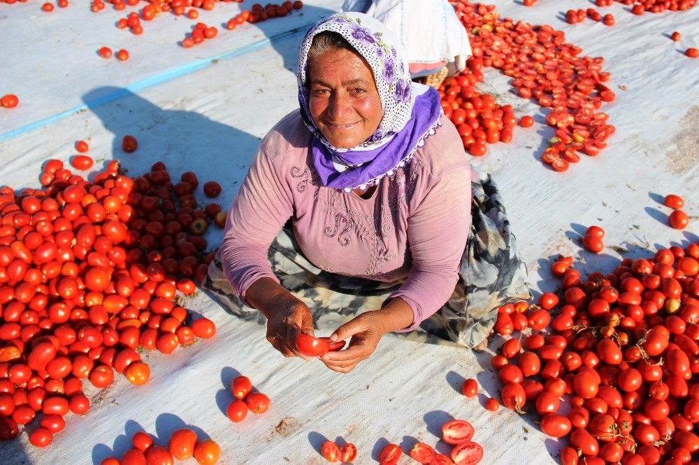 İtalya'nın pizzasına, ABD'nin hamburgerine Torbalı domatesi