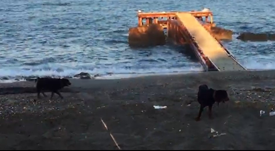 Kepçeyle caretta cinayeti