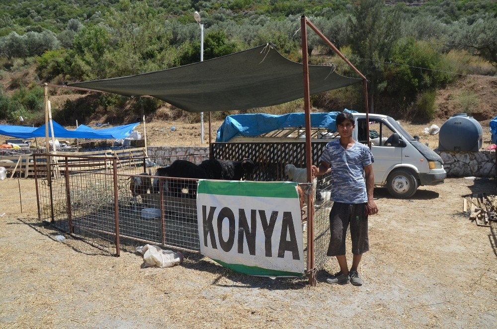 Kuşadası, Kurban Bayramı'na hazır
