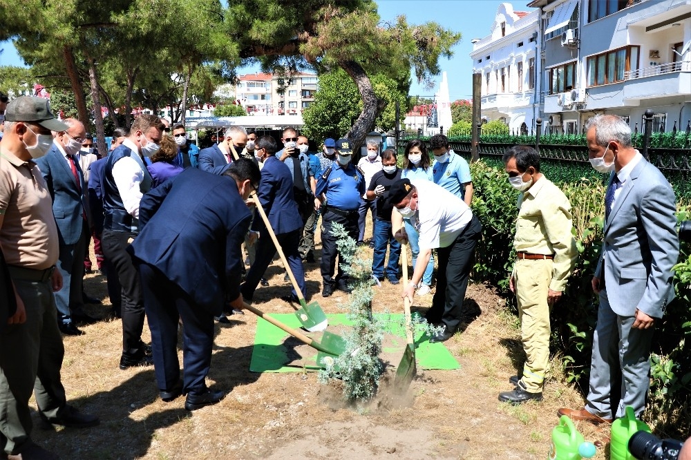 Manisa'da şehitlerin anısına 251 okula 251 fidan