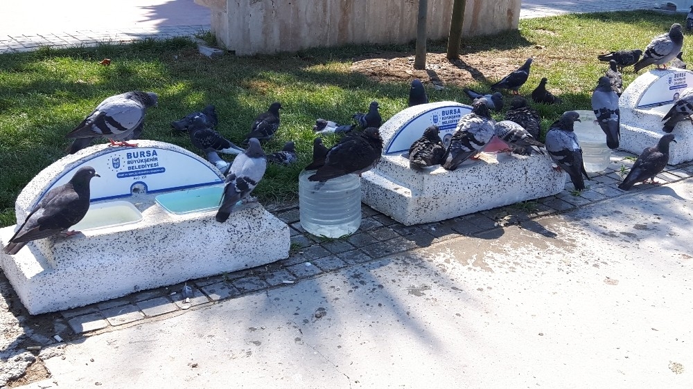 Mudanya'da sahillere estetik dokunuş