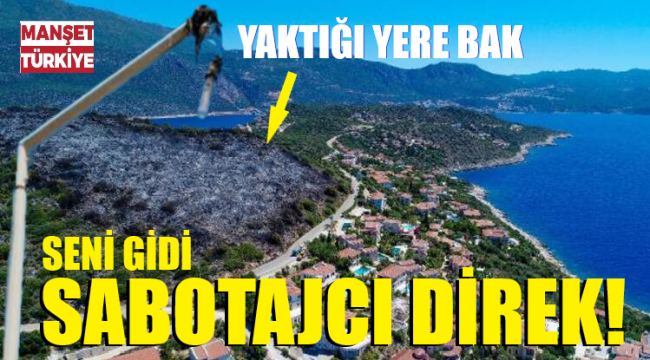 Yanılmadınız! Yangın imarlıkmış..