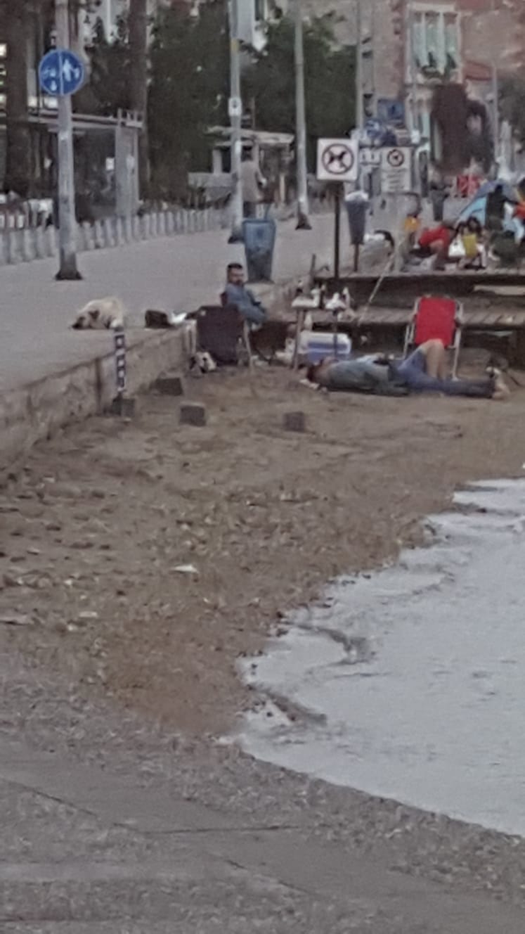 Foça'da rezilliğin bini bir para!