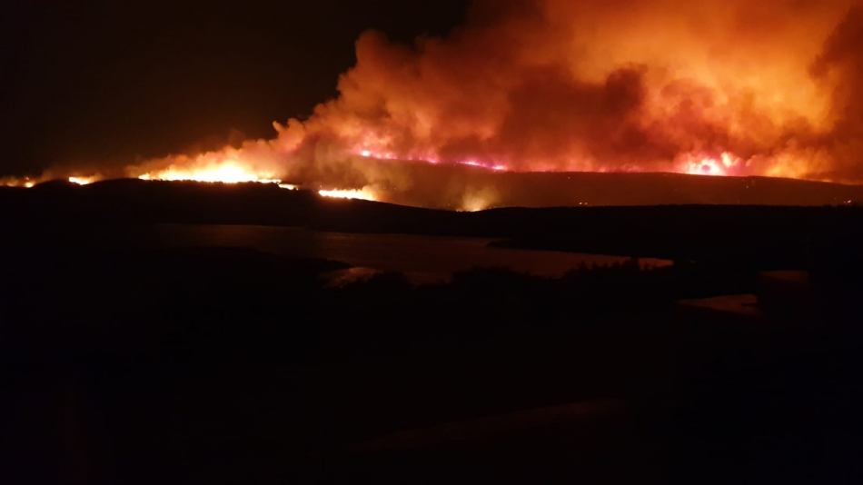 Başkan Oran, acı bilançoyu açıkladı