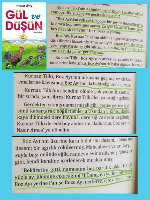 Çocuk kitabında skandal sözler: En iyisi tecavüz