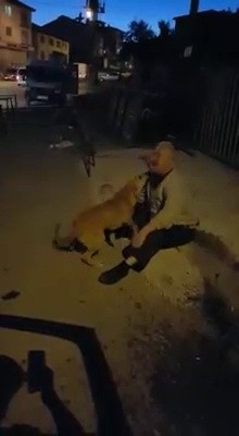 3 aydır kayıp olan köpeğiyle kavuşma anı duygulandırdı