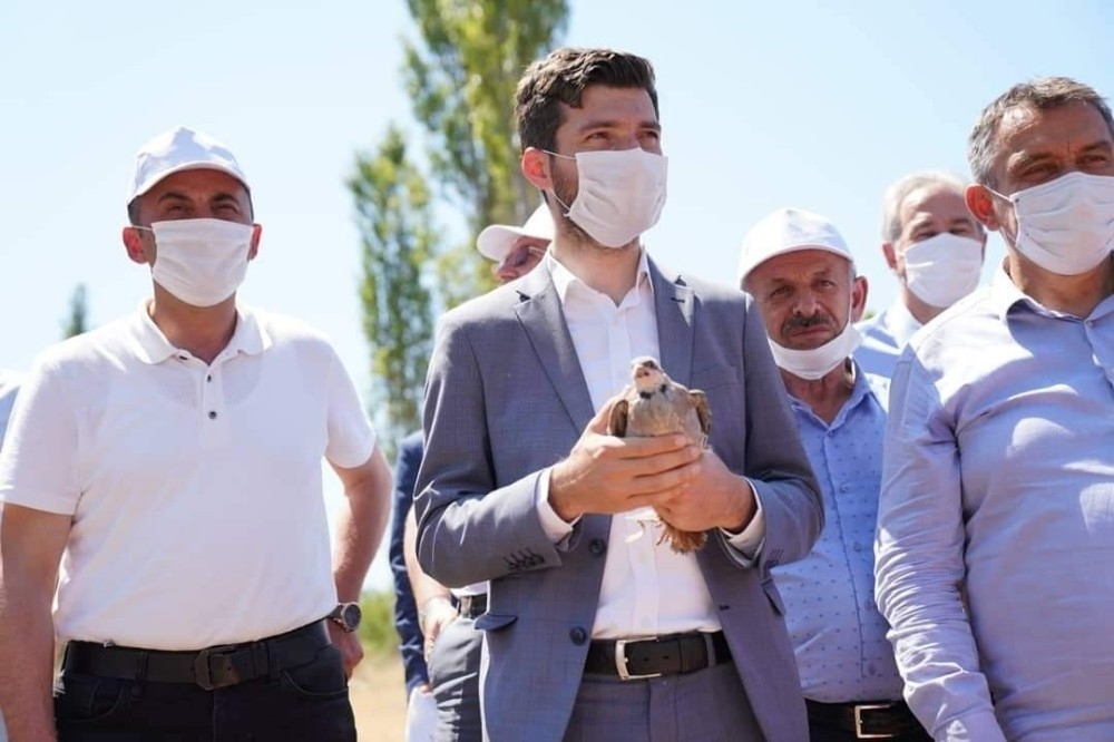 61 kişiyi öldüren keneleri yok etmek için yetiştirildiler