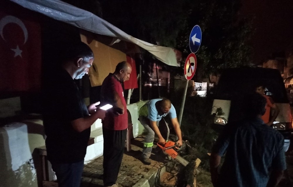 Adana'da fırtınada elektrik telleri koptu, ağaç aracın üzerine devrildi