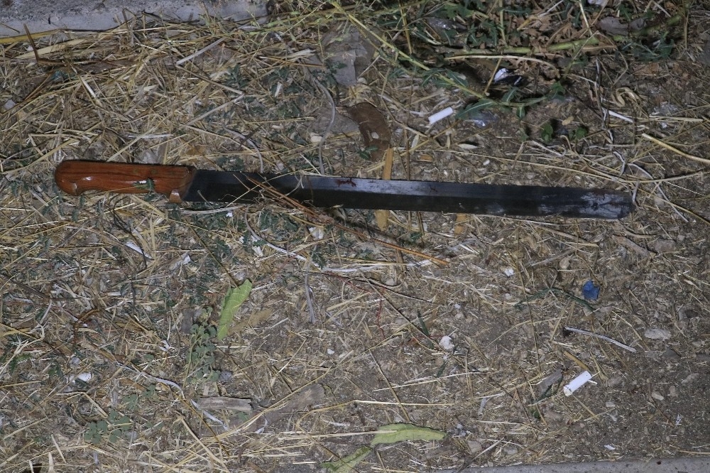 Ağabey ve kardeşi birbirlerini bıçakladı