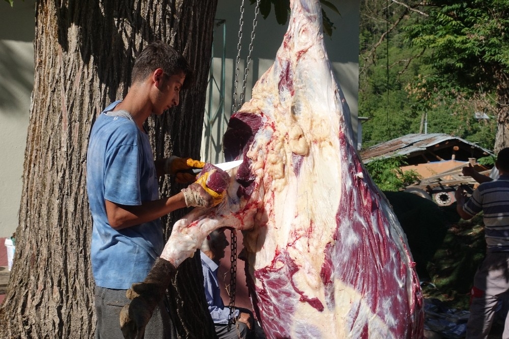 Artvin Yanıklı köyünde 300 yıllık kurban geleneği yaşatılıyor