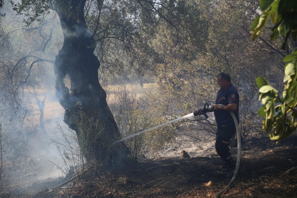 Başkan Çerçioğlu'ndan zeytin ağaçları yanan çiftçiye destek