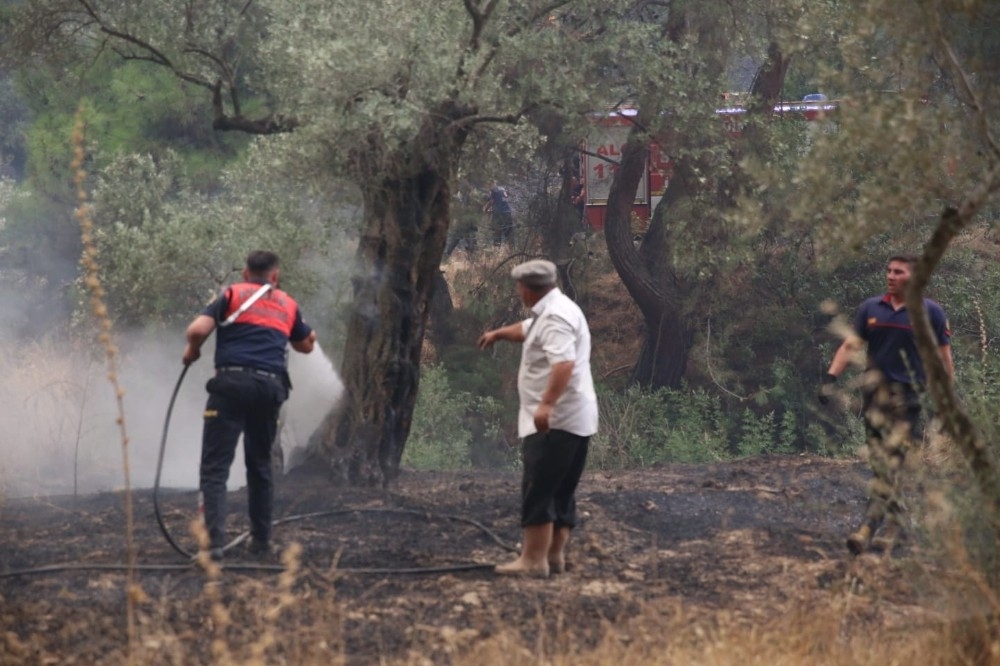 Başkan Çerçioğlu'ndan zeytin ağaçları yanan çiftçiye destek