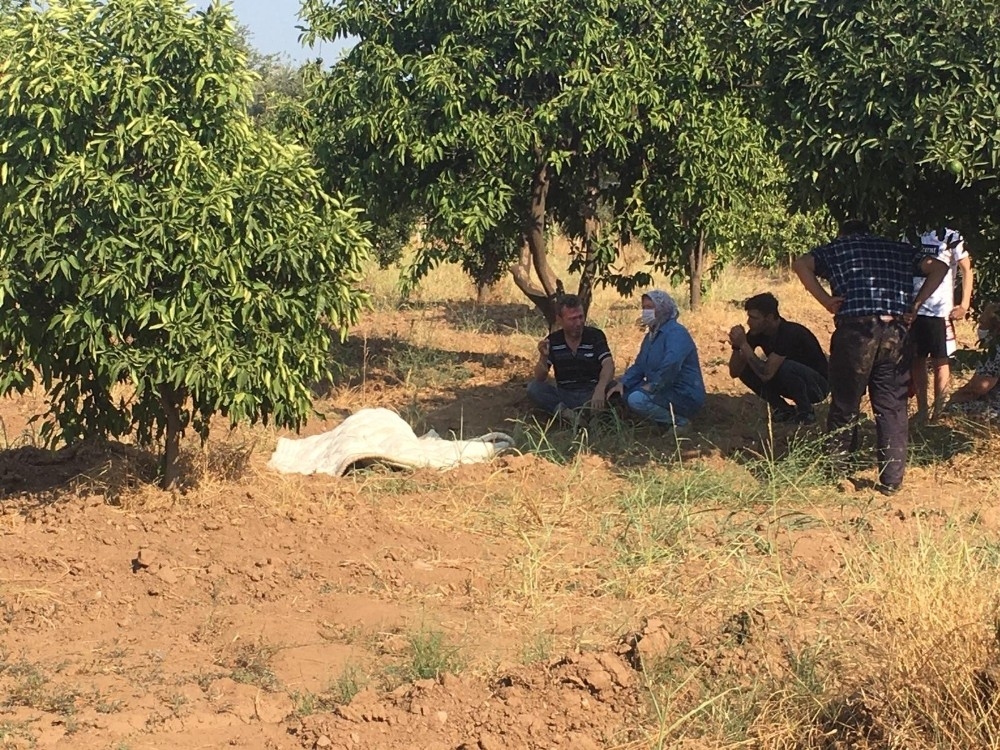 Bekçilik yaptığı portakal bahçesinde ölü bulundu