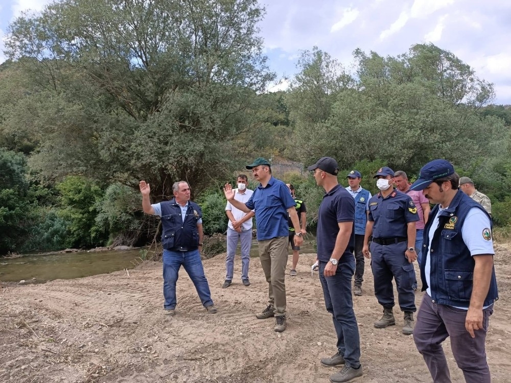 Bulgaristan'daki orman yangını Türkiye'ye ilerliyor