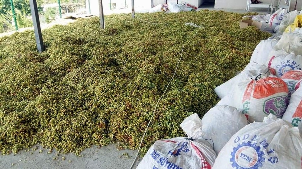 Burası Antep değil, Aydın