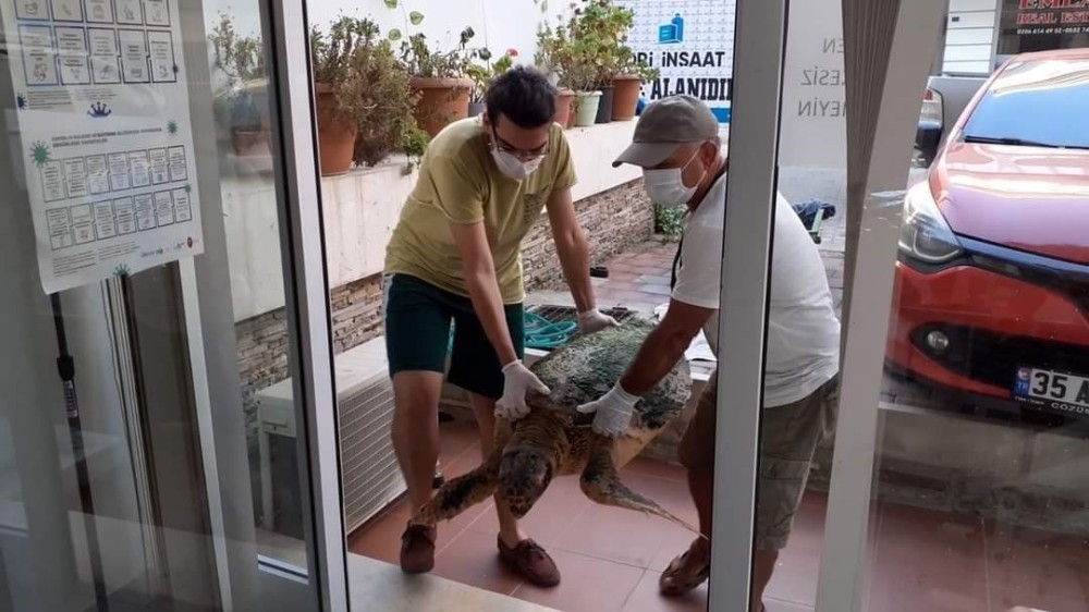 Carettaya kurtaranların ismi verildi