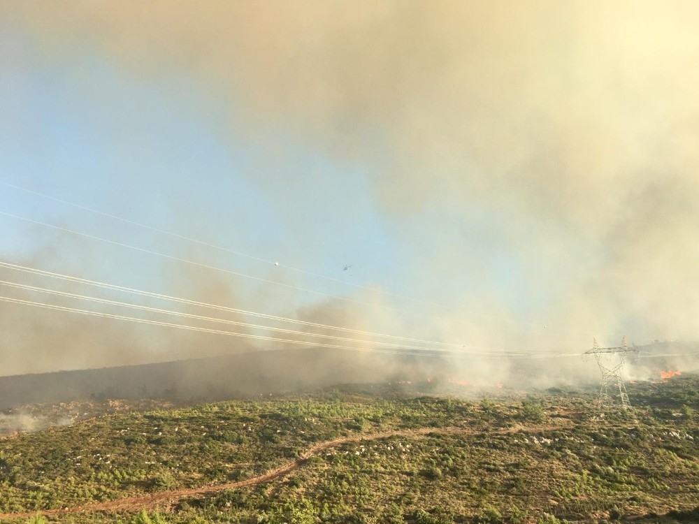 Çeşme yangınına 2 uçak, 13 helikopter