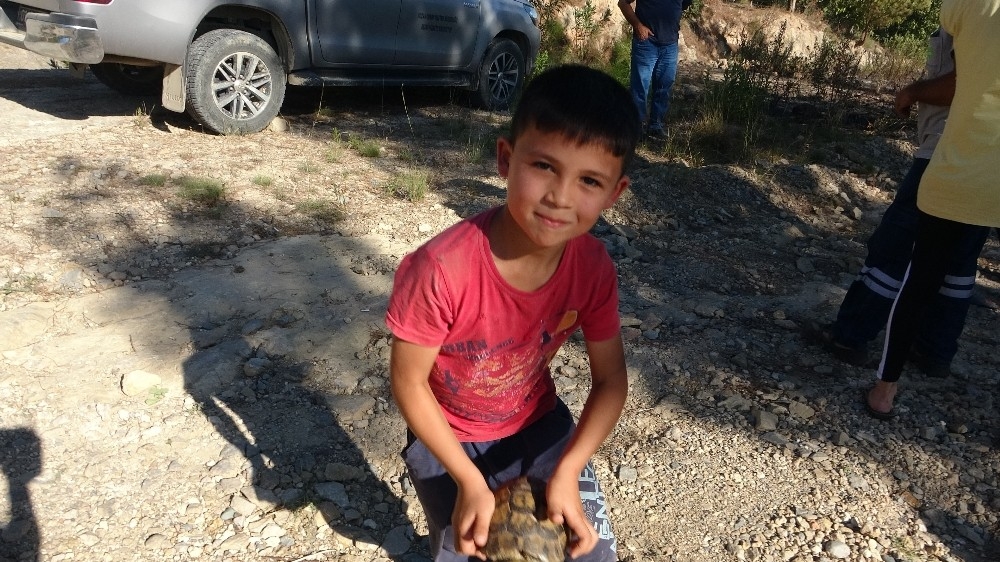 Cesur yürek iki çocuk, kaplumbağayı yangından kurtardı