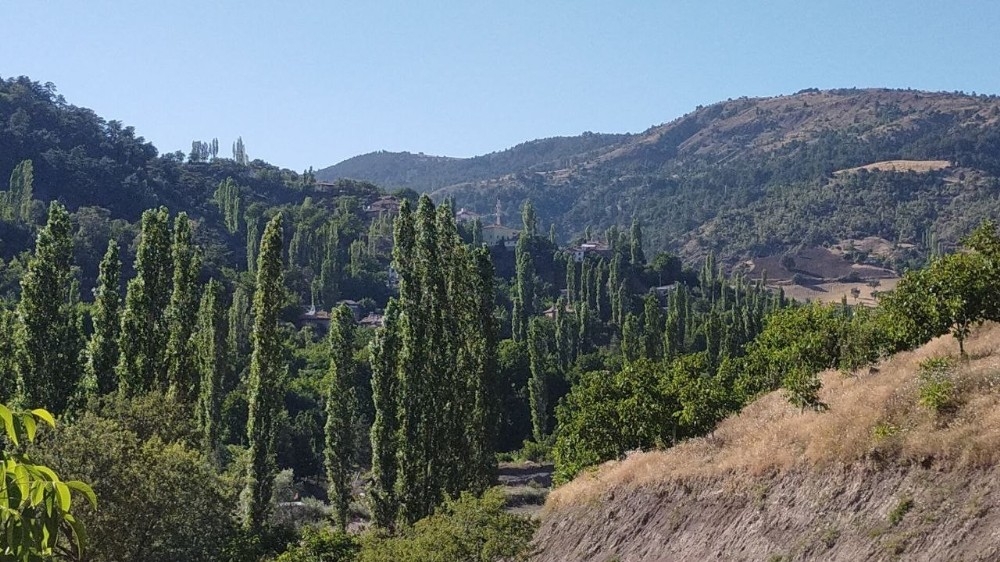 Çorum'da bir köy karantinaya alındı