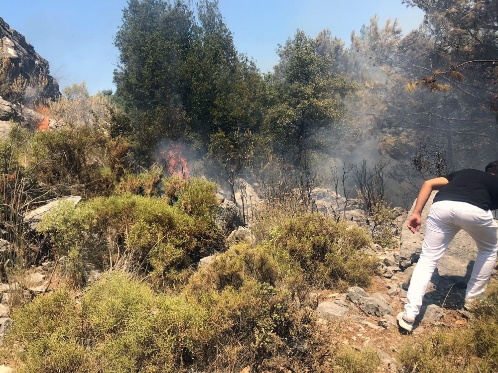 Fethiye'de orman yangını