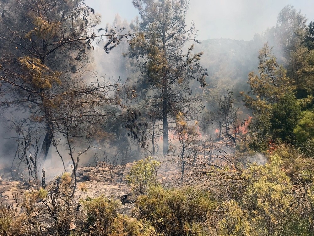 Fethiye'de orman yangını