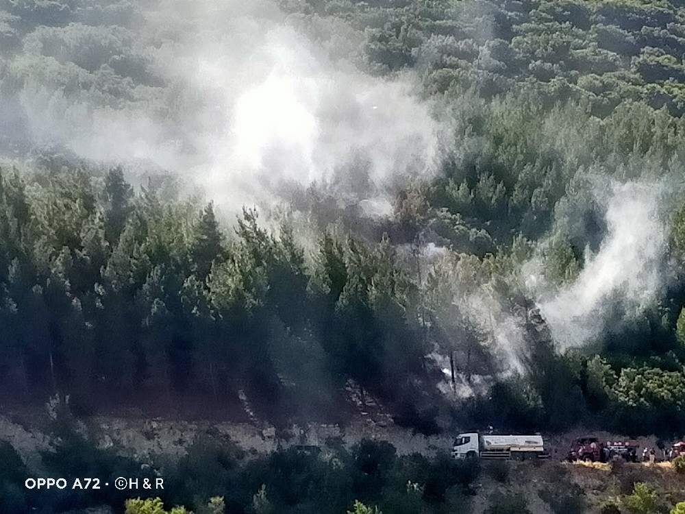 Kahramanmaraş'ta orman yangını