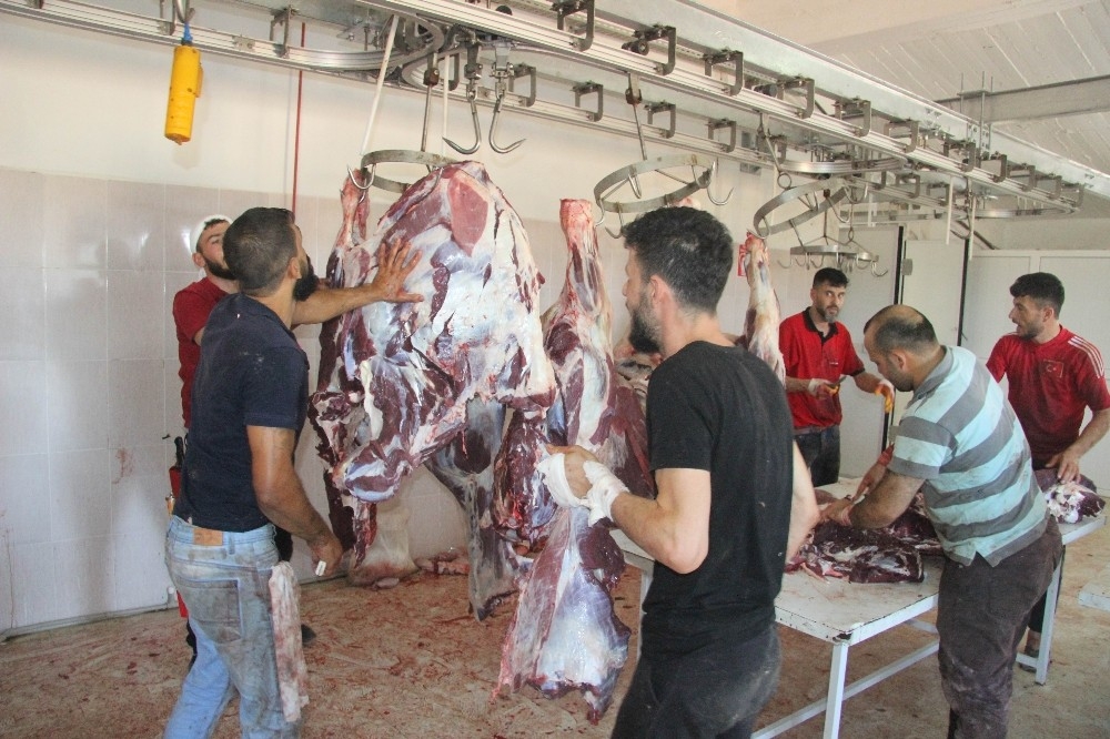 Kilis'te 5 bin aileye kurban yardımı