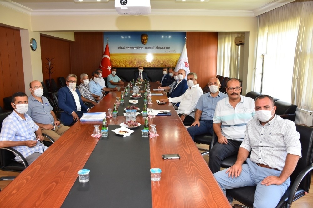 Manisa'da 2020 yılı üzüm rekolte tahmin raporu hazırlandı