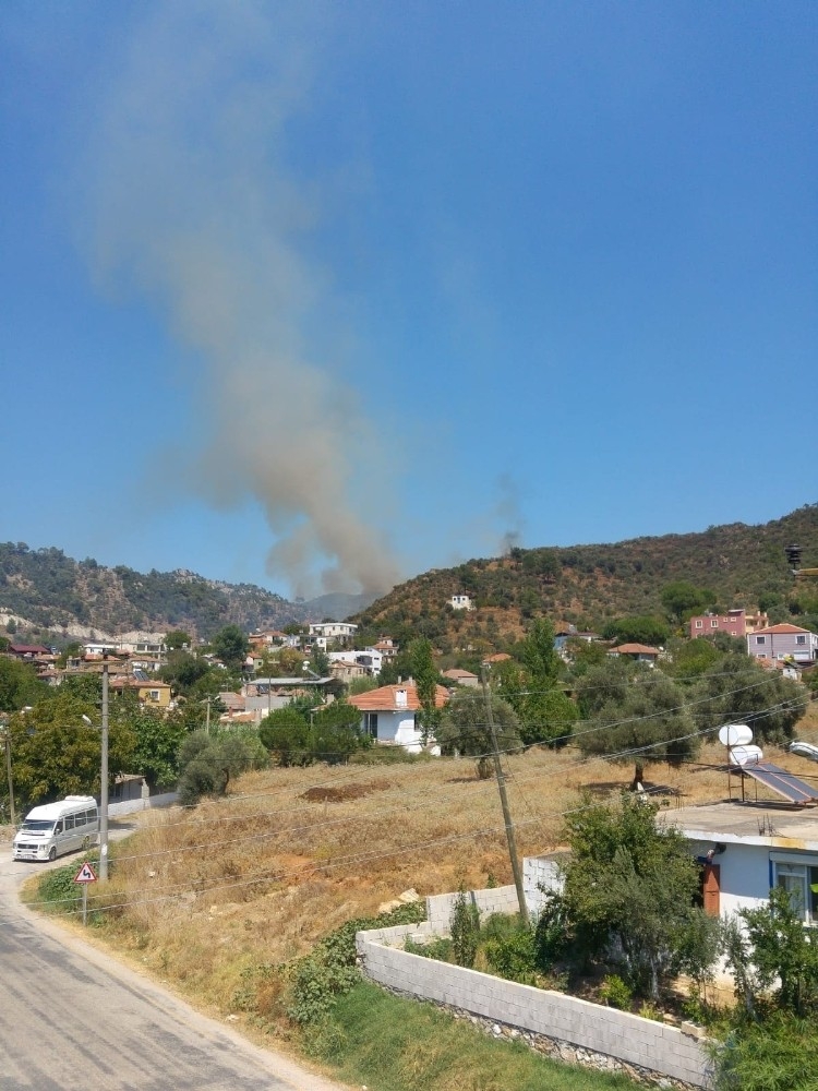 Milas'ta zeytinlikteki yangın söndürüldü