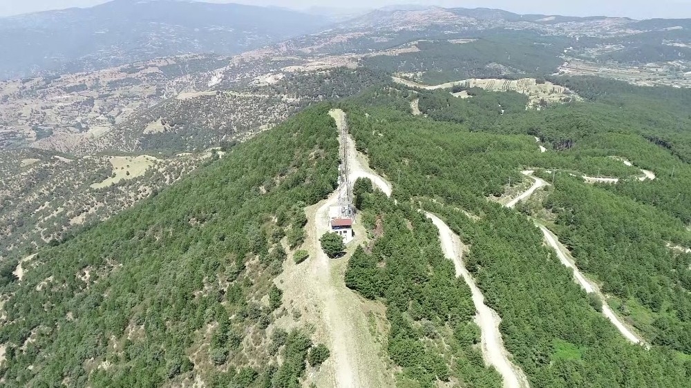 Ormanları korumak için 9 yıldır nöbetleşe uyuyorlar