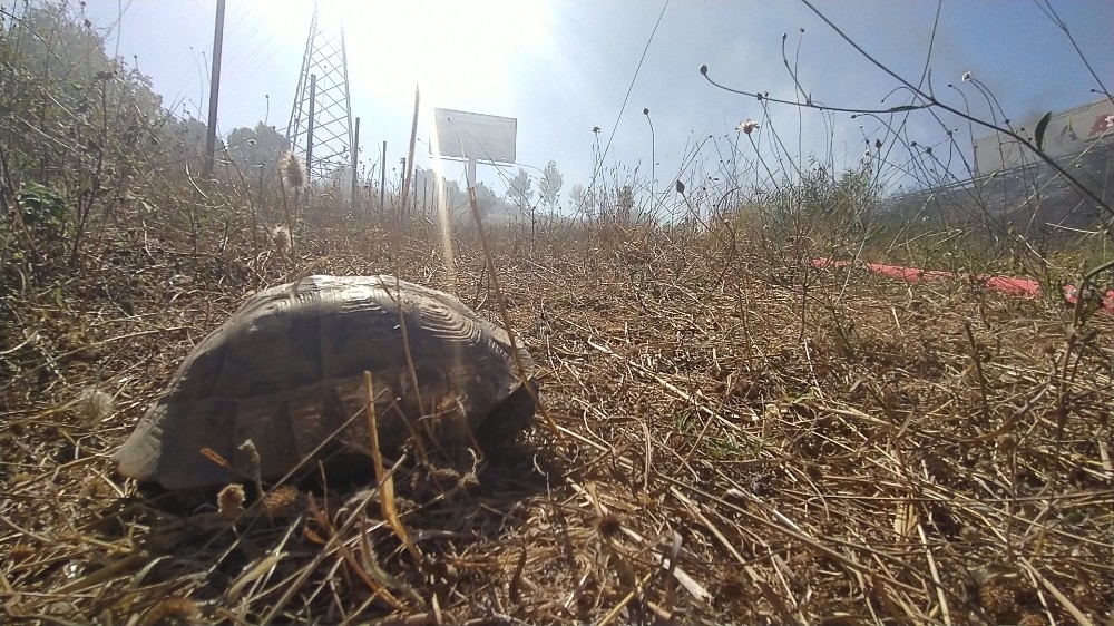 Otoyolda sigara izmaritinden yangın çıktı