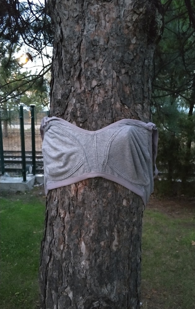 Parktaki ağaçlara kadın iç çamaşırı asıldı