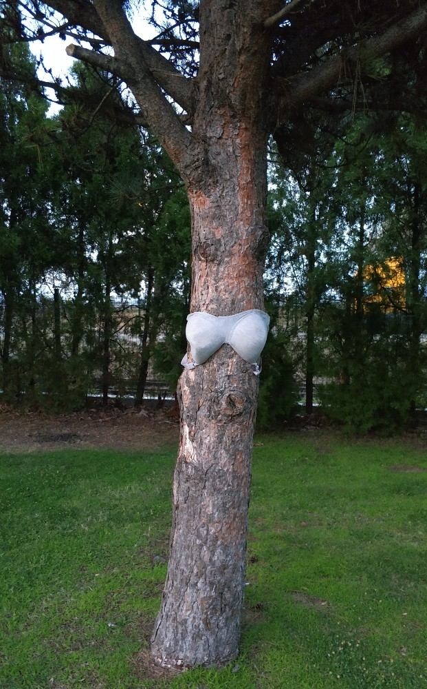 Parktaki ağaçlara kadın iç çamaşırı asıldı