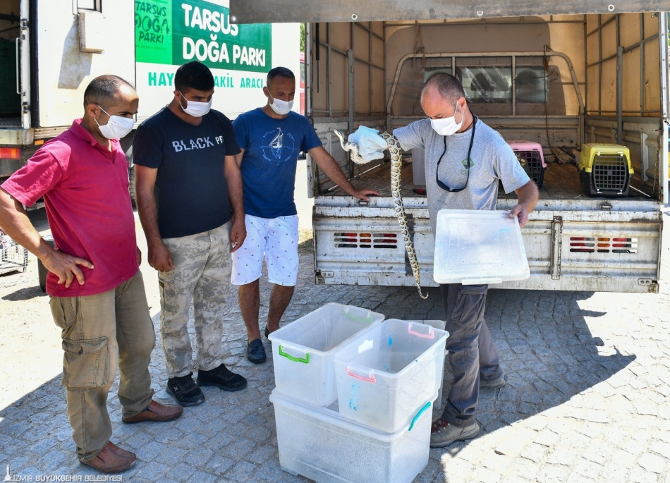 İzmir Büyükşehir Belediyesi Tarsus'a 57 yaban hayvanı gönderdi