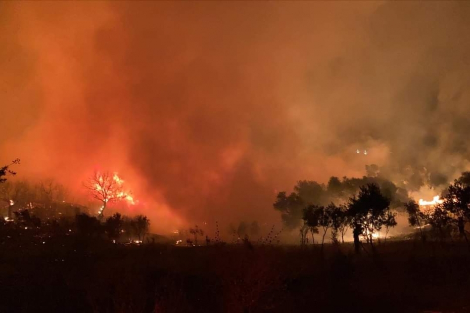 Zeytinlik alanda yangın korku yarattı
