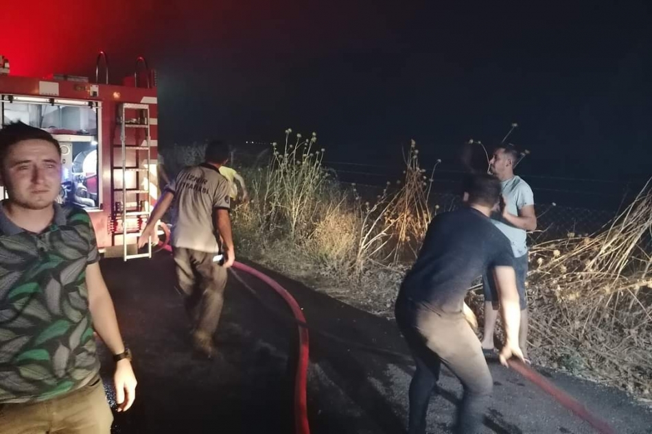 Zeytinlik alanda yangın korku yarattı