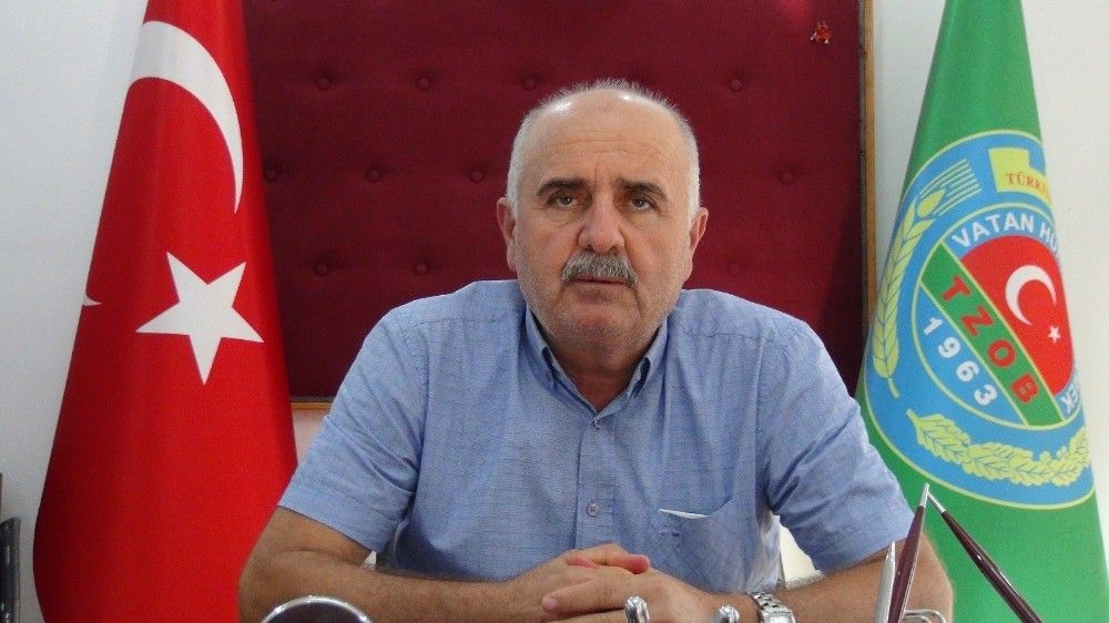 Antalya'da 'Altın Susam'a nöbetli hasat