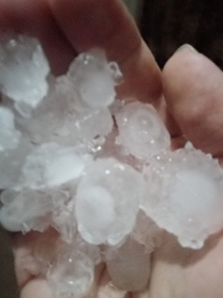 5 dakikada Ayvalık ne hale geldi