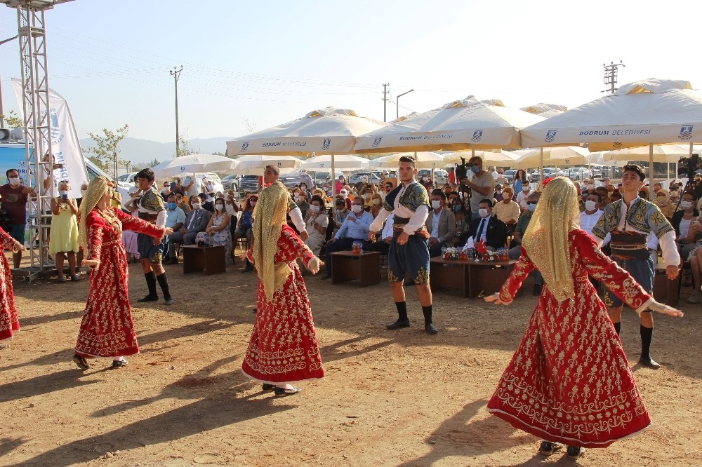 Bodrum'da 7 bin yıllık ata tohumları toprakla buluştu