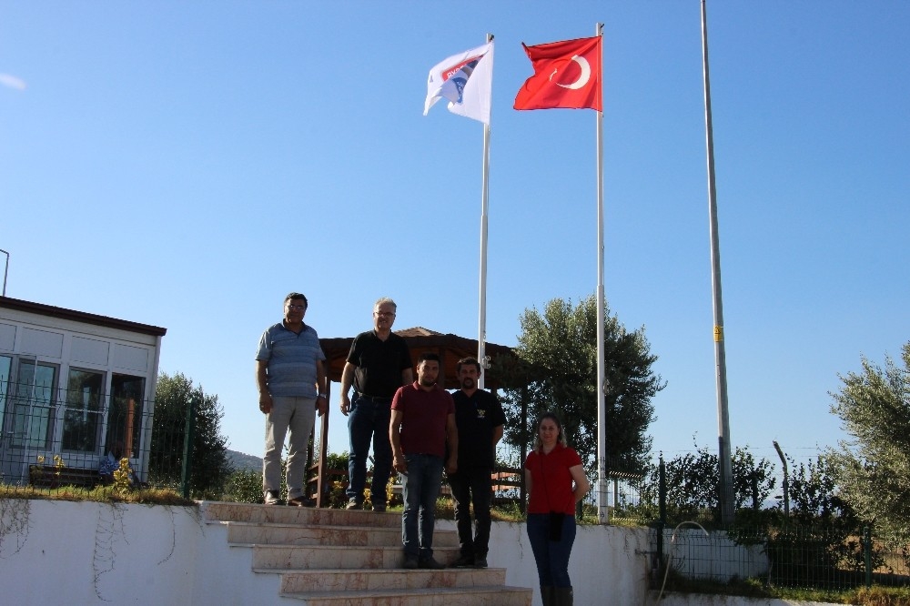 Bu proje ile Türk hayvancılığı dışa bağımlılıktan kurutulacak