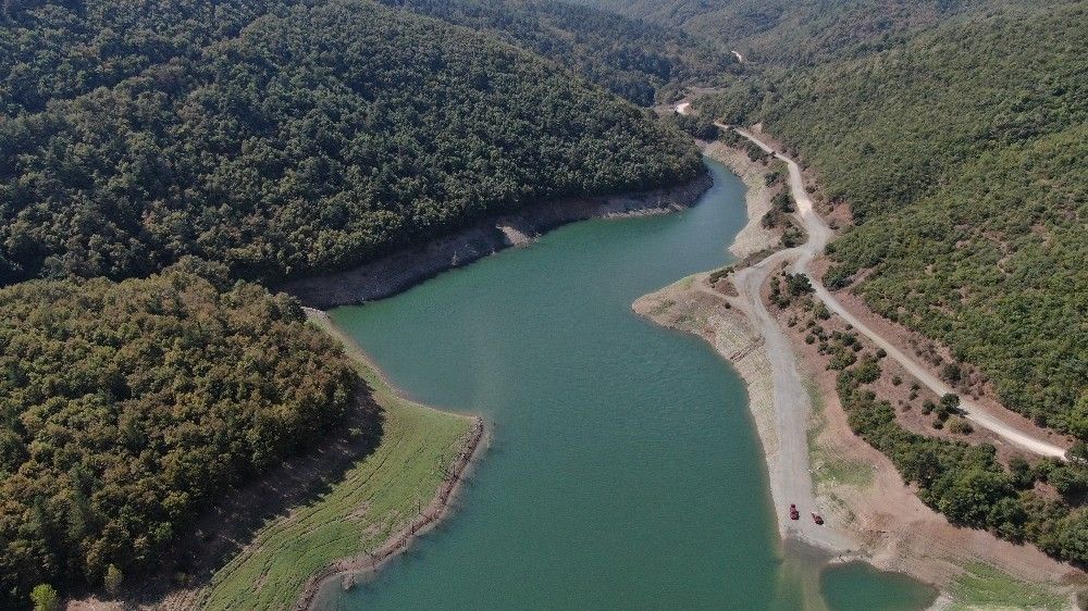 Bursa'da çevre felaketi...Balık ölümleri şok etti