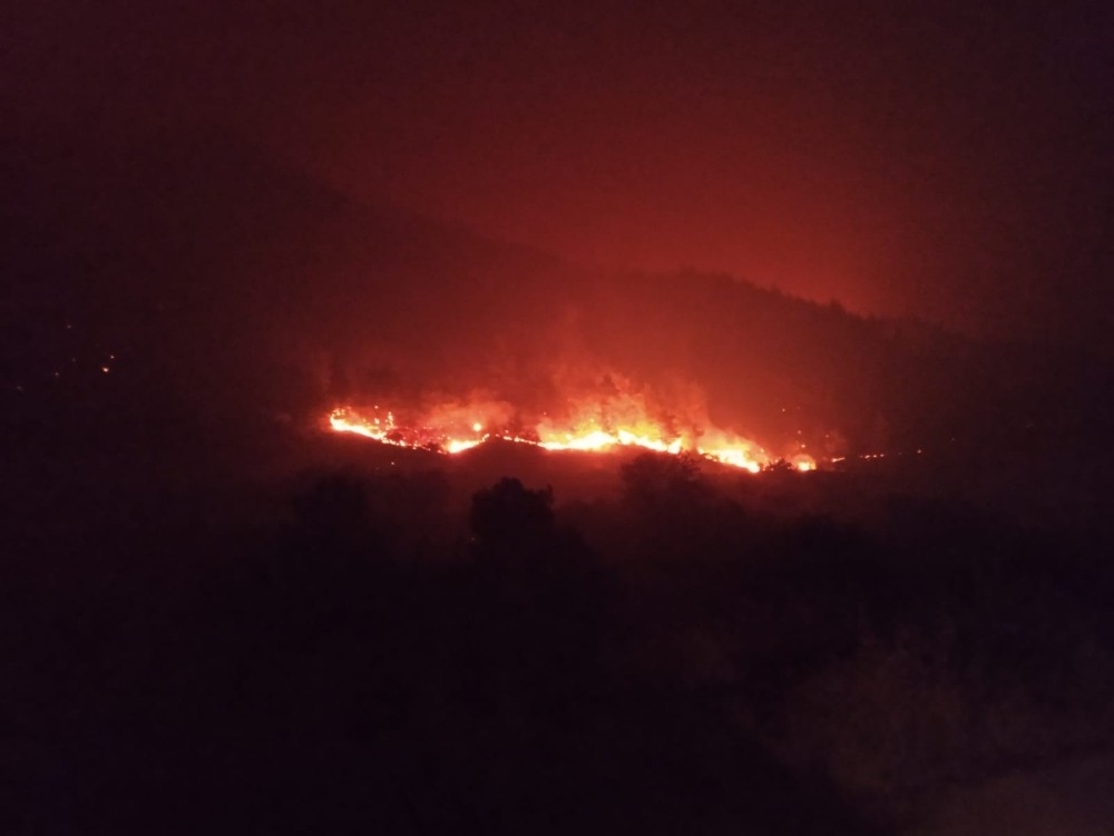 Canımız yanıyor! Hatay'daki yangın iki gündür devam ediyor