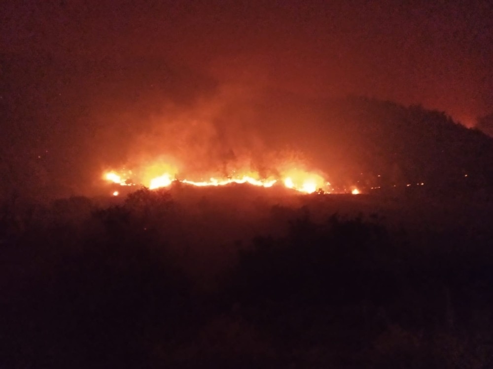 Canımız yanıyor! Hatay'daki yangın iki gündür devam ediyor