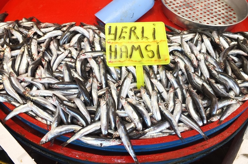 Denizlerin kralı tezgahların hükümdarı oldu