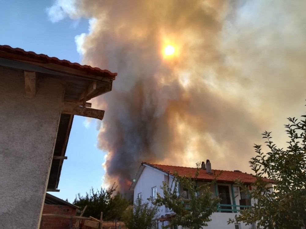Denizli'de orman yangını