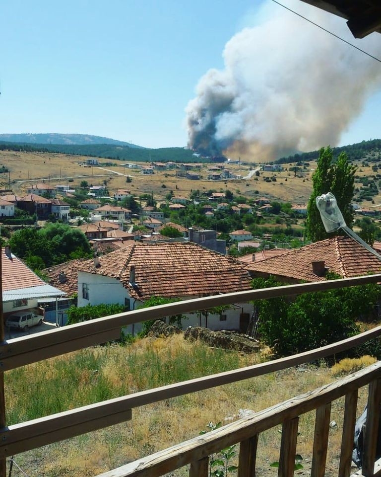 Denizli'de orman yangını