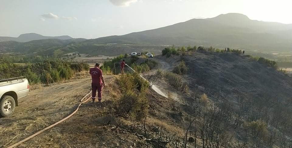 Denizli'deki orman yangını kontrol altına alındı