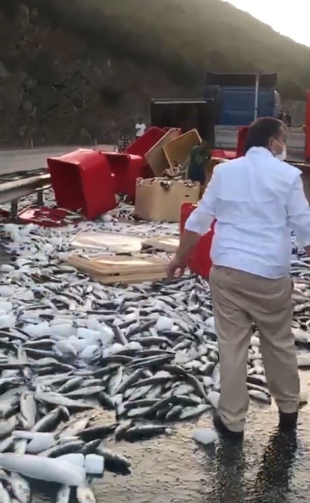 Dorse kapağı açıldı, tonlarca balık yola savruldu