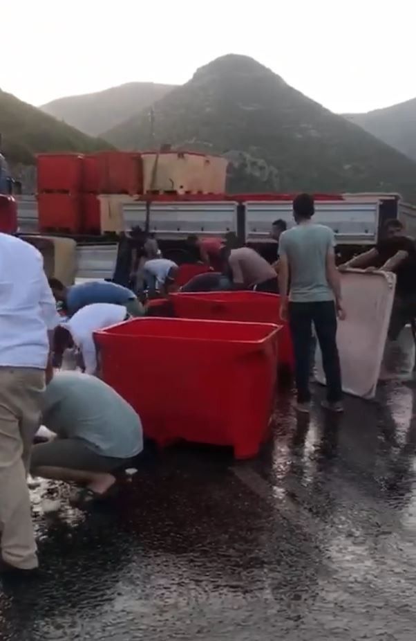 Dorse kapağı açıldı, tonlarca balık yola savruldu